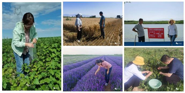 1691639589149802.jpg 圖1.jpg