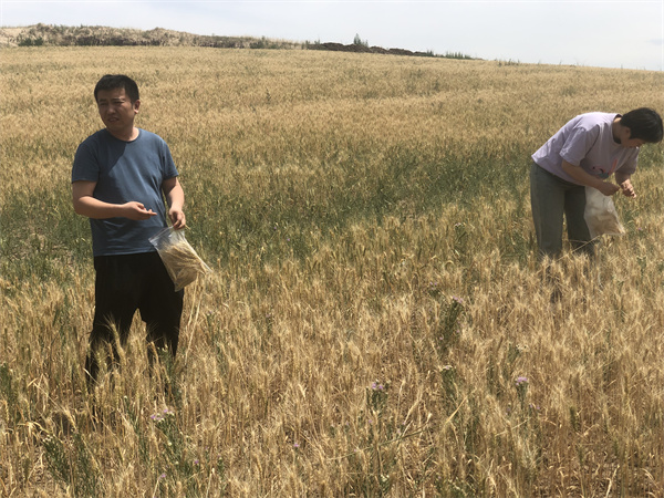 1691749199742375.jpg 圖2.jpg