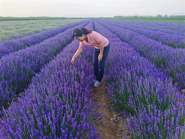 1692156139774252.jpg 圖3.jpg