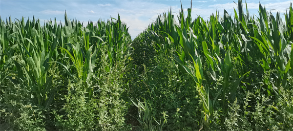 1692159346331430.jpg 圖5.jpg