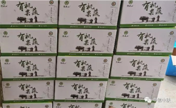 1692159366483205.jpg 圖8.jpg