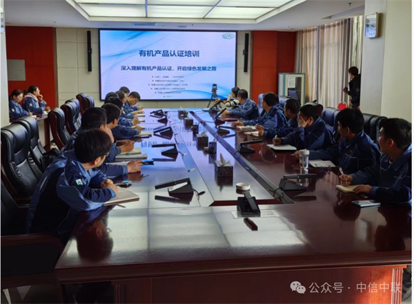 1706849270164970.png 圖片 1.png