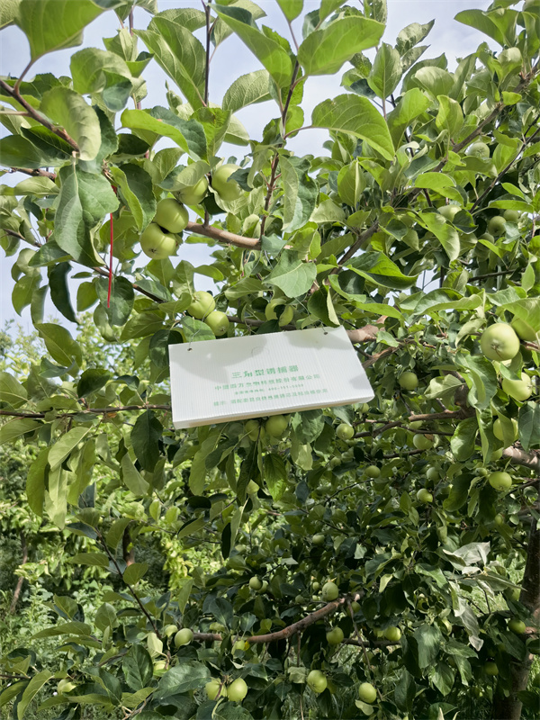 1721360936699578.jpg 圖2.jpg