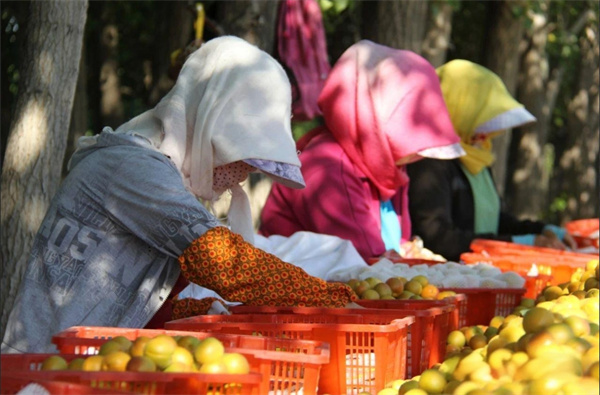 1721360954977700.jpg 圖4.jpg