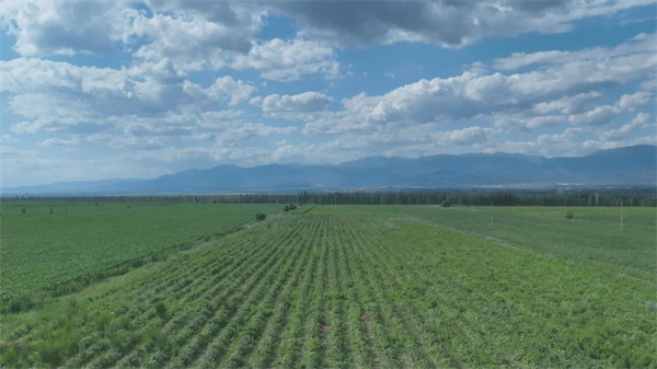 1722823867494579.jpg 圖1.jpg