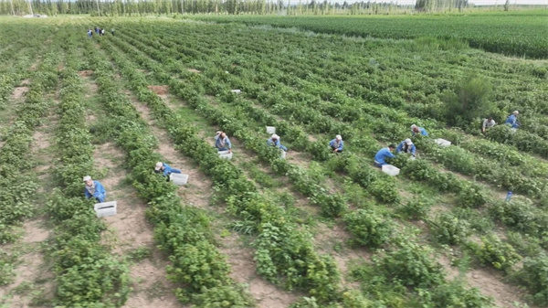 1722823884958362.jpg 圖3.jpg