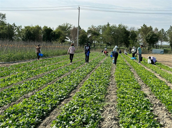 1724400884316132.jpg 圖1.jpg