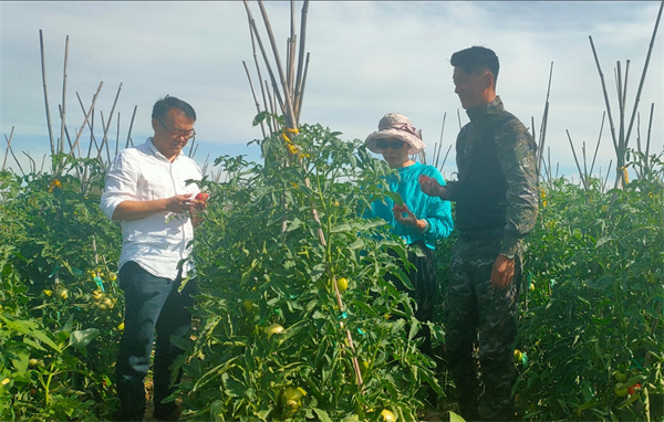 1724400913472732.jpg 圖4.jpg