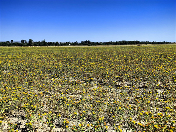 1726646347548121.jpg 圖1.jpg