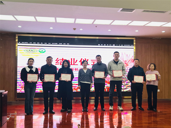 1743065652677892.jpg 圖32.jpg